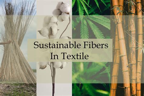  Okra Fiber: An Underrated Wonder in Sustainable Textiles!