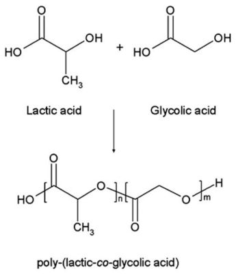  Poly(Lactic-co-Glycolic Acid) :  The Biodegradable Workhorse for Tissue Engineering and Drug Delivery 