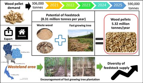  Woodchips:  วัตถุดิบพลังงานสำหรับการผลิตชีวมวลและความร้อนที่ยั่งยืน!